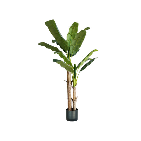 Bananenpflanze aus Polyethylen und Topf mit 17 Blättern 170cm