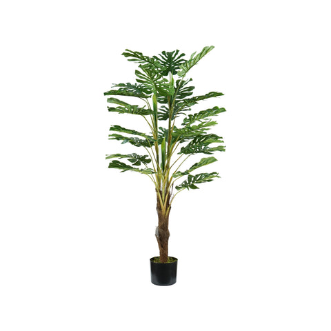 garden friend pianta monstera in polietilene con 24 foglie e vaso con muschio 120cm ean 8023755056704
