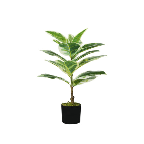 Ficus Elastica Pflanze aus Polyethylen mit 15 Blättern und Moostopf 65cm