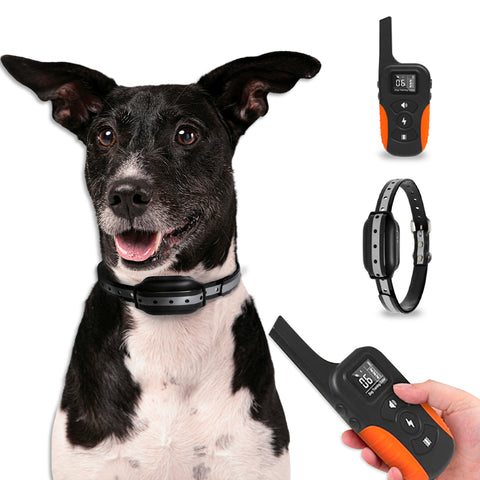 Erziehungshalsband für Hunde, große/kleine Rassen – wasserdicht und Reichweite bis 1000 m