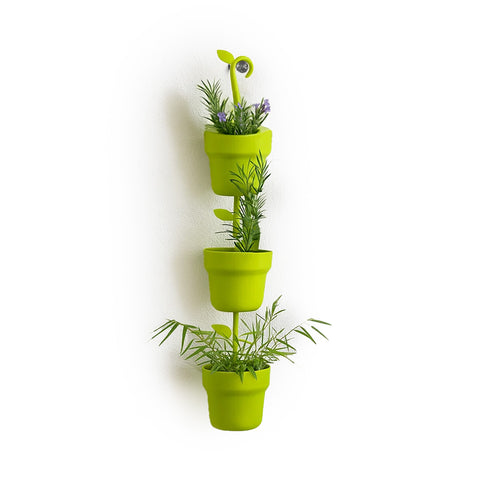 Pflanzenkübel-Trio für grüne Wand