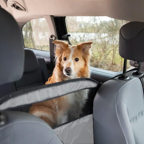 Cane sicuro in auto con barriera Wenko - Protezione sedili posteriori per viaggi senza distrazioni alla guida