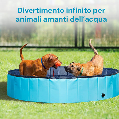 Due cani che giocano in piscina pieghevole - Divertimento infinito per animali amanti dell'acqua in giardino