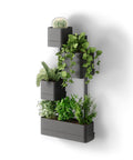 immagine-1-umbra-fioriera-da-parete-4-vasi-in-plastica-ean-028295391344