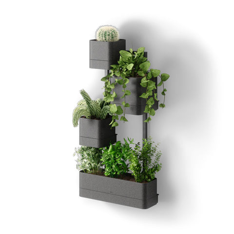 immagine-1-umbra-fioriera-da-parete-4-vasi-in-plastica-ean-028295391344