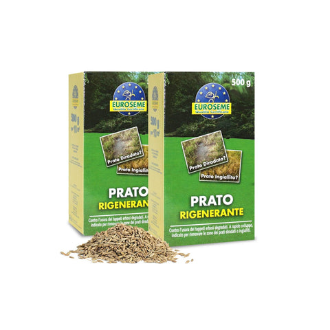 Semi Rigeneranti per Prato 500g Euroseme, Rinfoltente e Anti-Ingiallimento