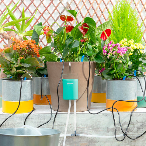 immagine-2-innovagoods-sistema-di-irrigazione-a-goccia-per-8-piante-da-vaso-ean-8435527821050
