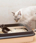 immagine-3-smapiu-spray-antiodore-per-lettiere-gatto-muschio-bianco-55ml-ean-8033765130301
