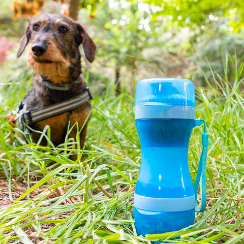 immagine-4-innovagoods-bottiglia-con-dispenser-di-acqua-e-cibo-per-animali-domestici-300-200ml-ean-8435527816711