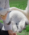 immagine-5-innovagoods-guanto-per-pettinare-e-massaggiare-animali-domestici-in-silicone-ean-8435527813512