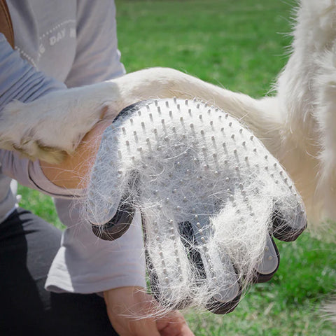 immagine-5-innovagoods-guanto-per-pettinare-e-massaggiare-animali-domestici-in-silicone-ean-8435527813512