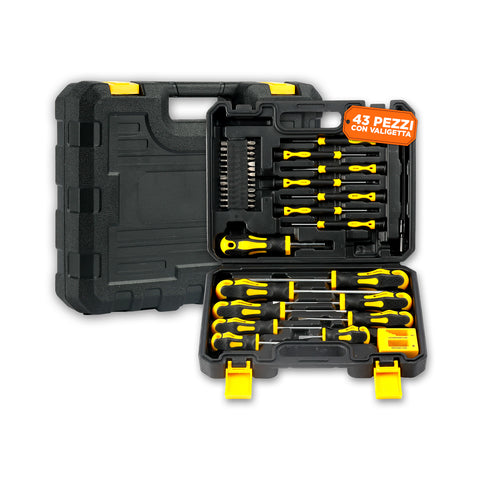 daimann set cacciaviti magnetici professionali 43 pezzi con valigetta kit giraviti con magnetizzatore e smagnetizzatore punte antiscivolo e impugnatura ergonomica ean 8056590070451