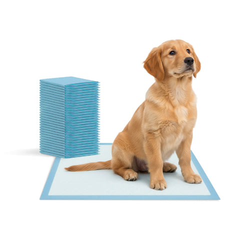 puppy lovers tappetini igienici essential 6090 set vari formati con adesivi ean 8054806950870