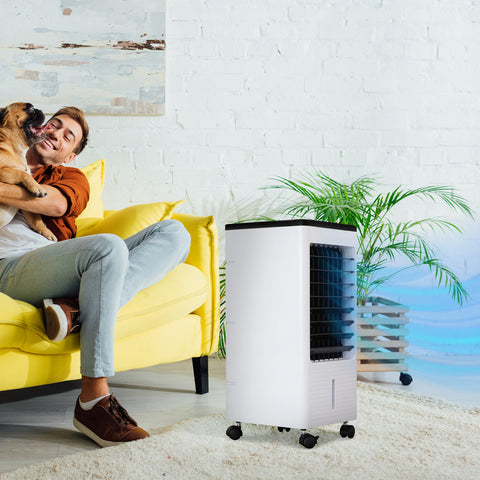 Wintem Rinfrescatore Portatile Brina 80W 3 in 1 con Umidificazione, Filtraggio, Timer 7h, Telecomando e Serbatoio 4L Ean-8052286430998