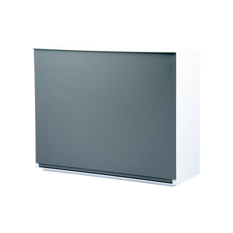 Schuhschrank Glatt Wandmontage 16x51,5x39cm Grau