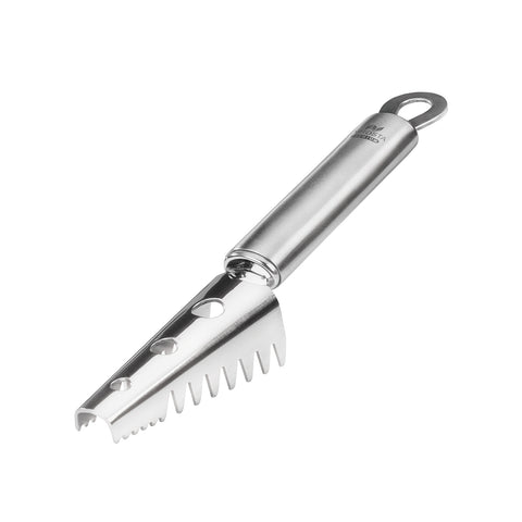 Coltello Squama Pesce In Acciaio Inox
