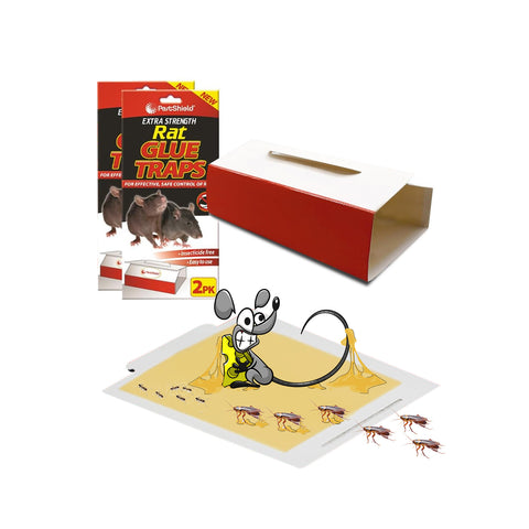 Set mit 2 wiederverwendbaren Mausefallen