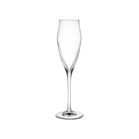 Set 6 Flute Champagne Ego 18cl