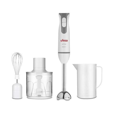 Stabmixer-Set mit Zubehör 600 W