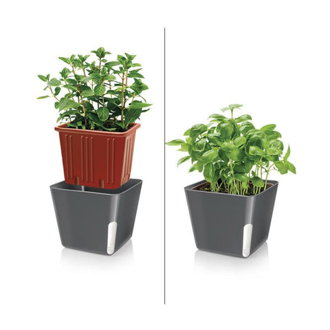 immagine-2-tescoma-vaso-per-piante-quadrato-metallo-nero-13x11cm-ean-8595028400960