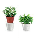 immagine-2-tescoma-vaso-per-piante-tondo-metallo-bianco-135x11cm-ean-8595028400915