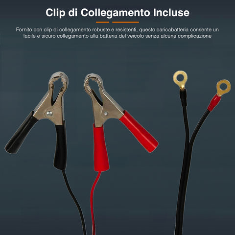 immagine-6-lampa-caricabatteria-per-veicoli-con-clips-per-batteria-12v-42a-ean-8000692702093